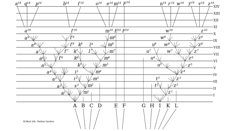 Árbol filogenético
