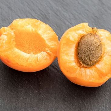 Albaricoque por dentro