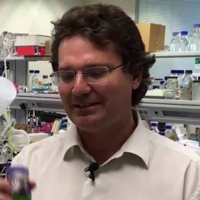 José Miguel Mulet Salort