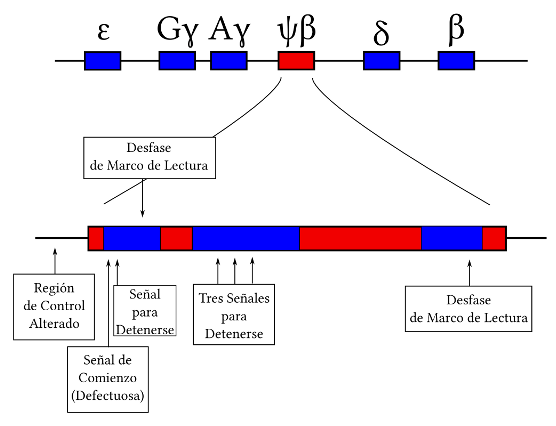 Imagen de secuencia genética