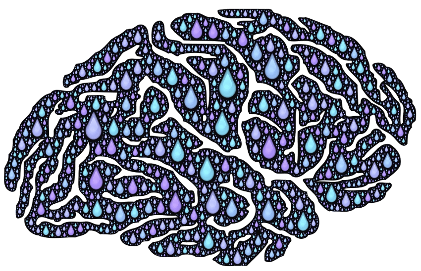 Imagen del cerebro con gotitas de agua.