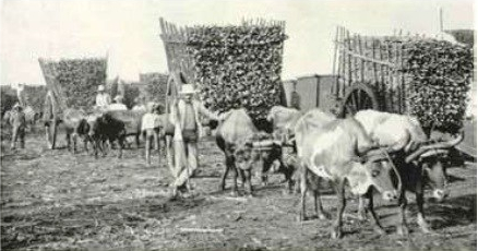 Imagen de la National Geographic Magazine (1906)