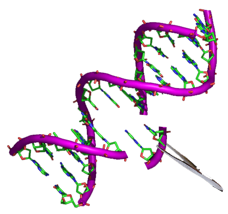 Modificación genética