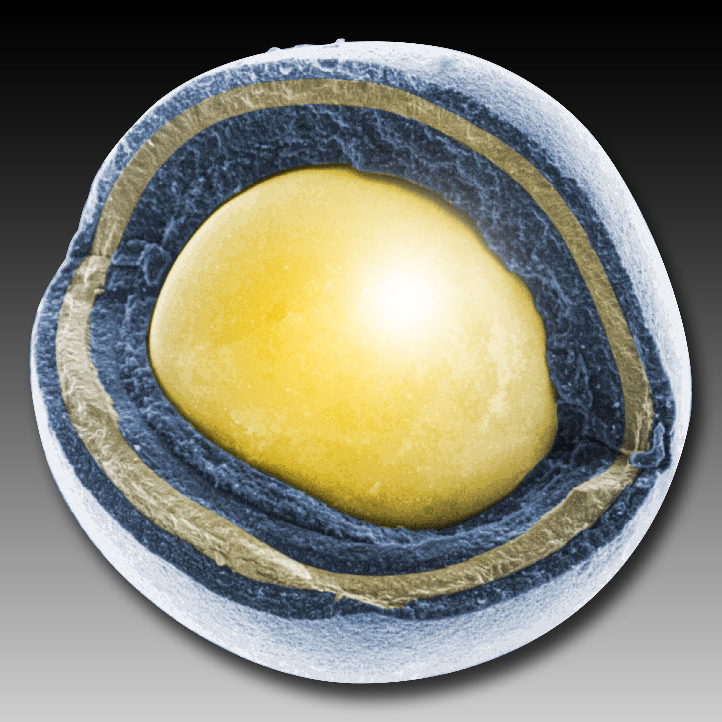 Partícula de combustible TRISO.