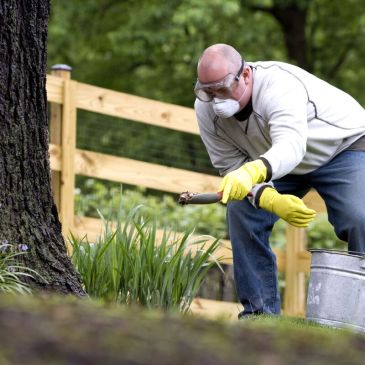 Cuidador aplicando fertilizantes a las plantas