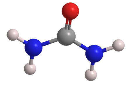 Representación tridimensional de la molécula de la urea.