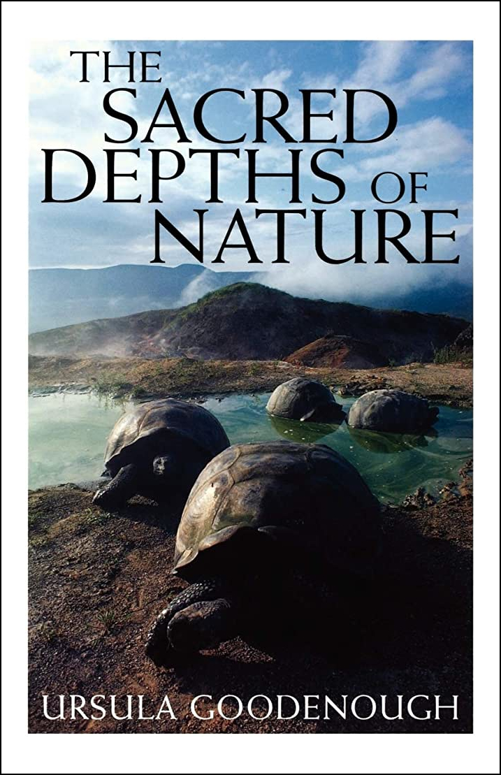 The Sacred Depths of Nature