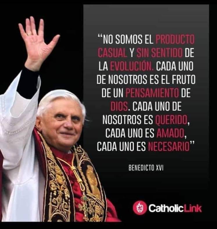 Meme de Benedicto XVI que dice: "No somos el producto casual y sin sentido de la evolución, cada uno de nosotros es el fruto de un pensamiento de Dios. Cada uno de nosotros es querido, cada uno es amado, cada uno es necesario" - Benedicto XVI